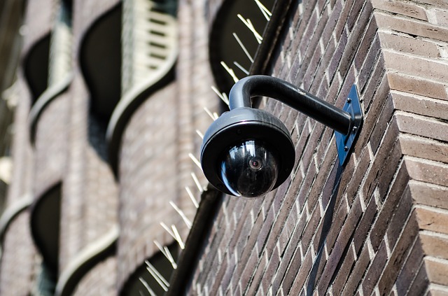 camara vigilancia